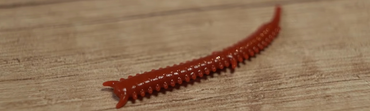 Искусственный червь Нереис на деревянной поверхности