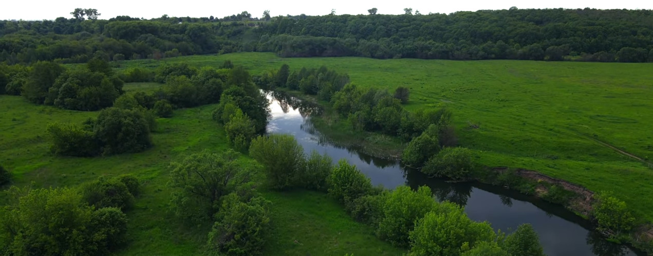 Река с двух берегов окруженная яркой травой и кустами