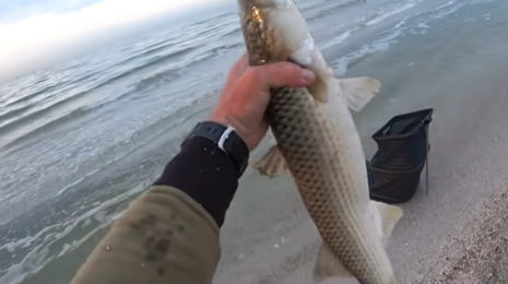 Рыбак держит вертикально пеленгаса на фоне песка и моря