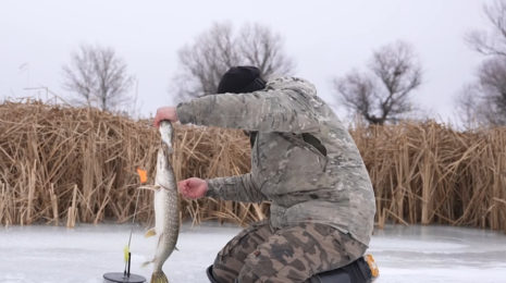 Рыбак на льду поймал щуку на жерлицу для ЛЩЖ