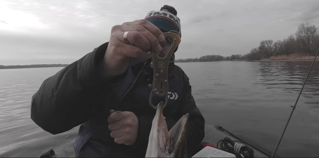 Рыбак держит щуку при помощи липгрипа