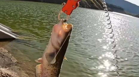 Рыбу держат при помощи липгрипа на фоне воды
