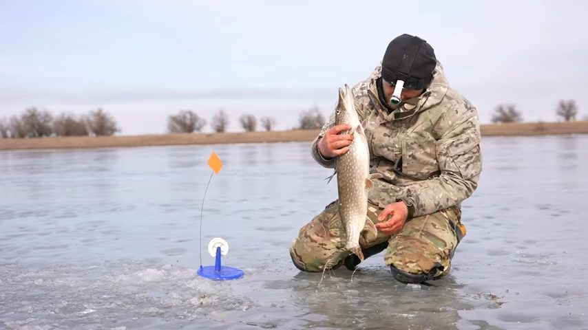 Рыбак на льду рядом с жерлицей с щукой в руках