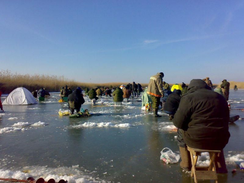 приманки декабрь