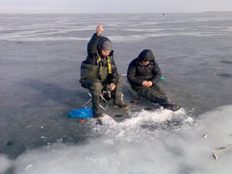 виды рыб в декабре